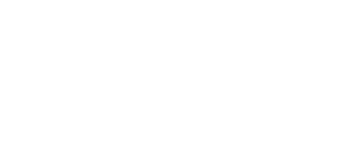 icon-print-hero-logo